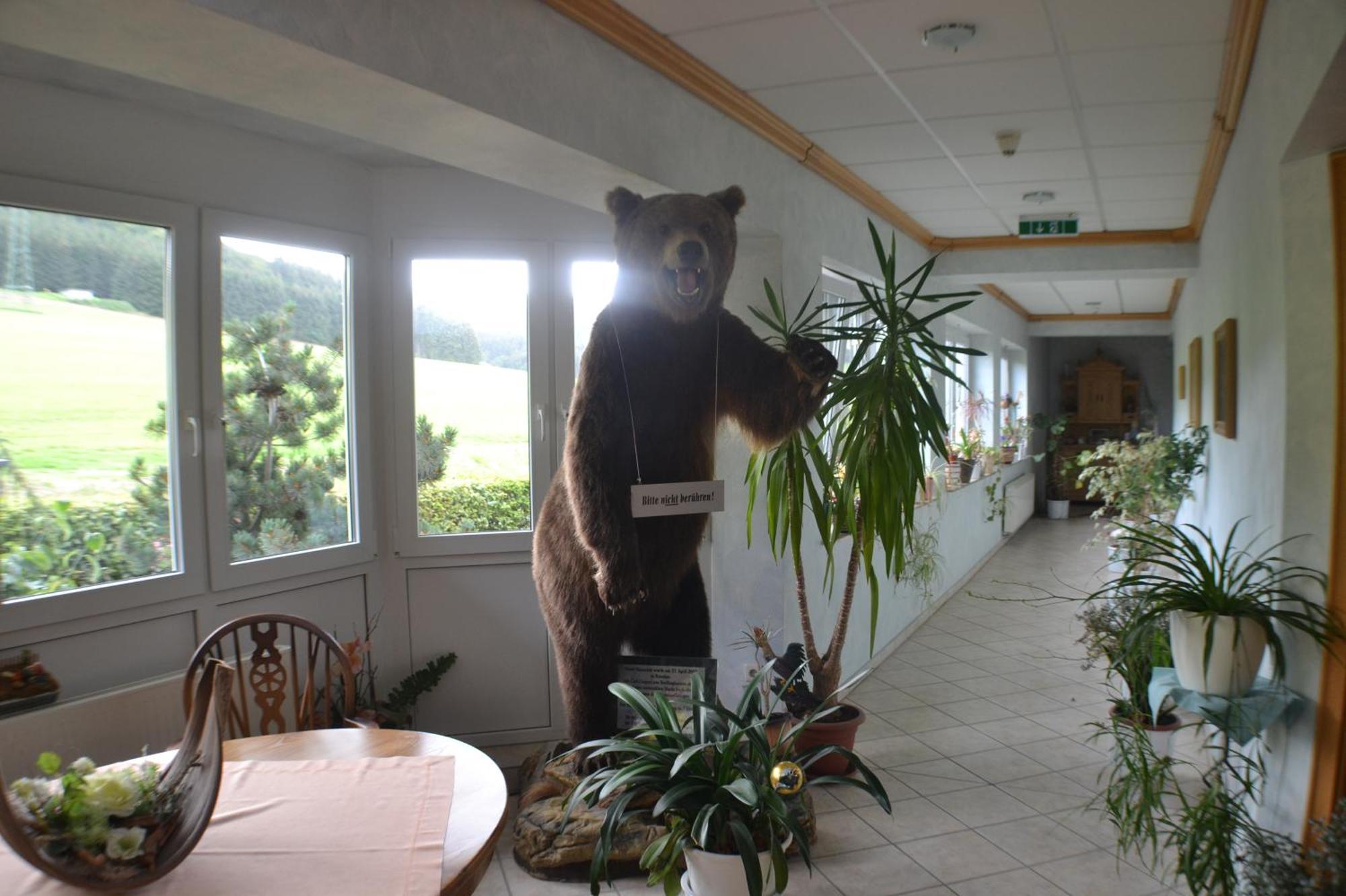 Landhotel Gasthof Wuellner Winterberg Extérieur photo